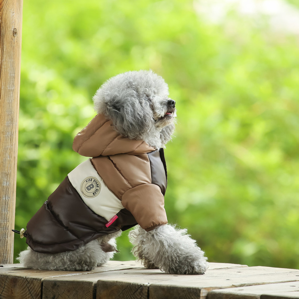 Pet Vest Pet Supplies Winter C - Winter Clothing Options avaliação e preço
