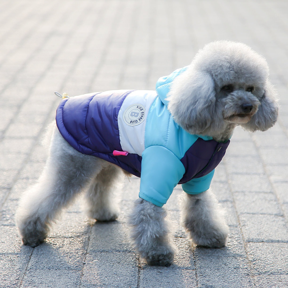 Pet Vest Pet Supplies Winter C - Winter Clothing Options avaliação e preço
